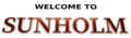 Thumbnail for version as of 20:03, 19 January 2020
